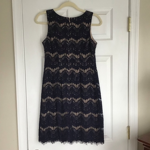 Eliza J Scoop Neck Lace Sheath Cocktail Dress Sheer Navy Cream Tan Lining 2 - Picture 5 of 7